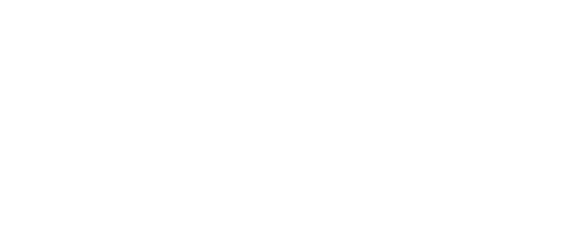 Grupo MVX